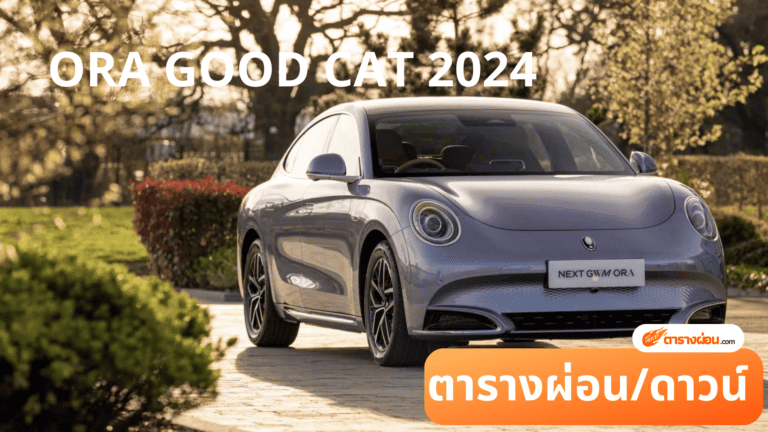 ORA GOOD CAT 2024